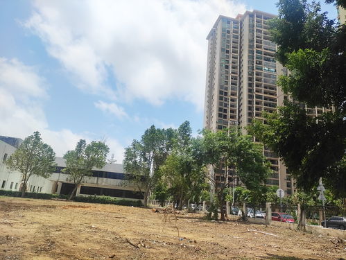 北海市中心北海大道旁這個老工廠開始拆了,準備搞房地產(chǎn)項目